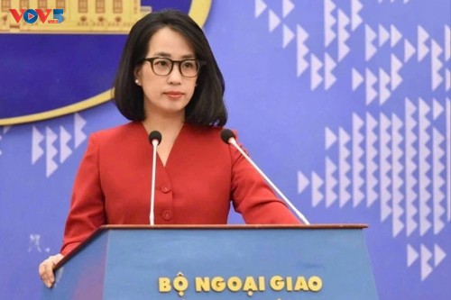 Việt Nam phản đối thông tin xuyên tạc về tìm kiếm quân nhân Hoa Kỳ mất tích - ảnh 1