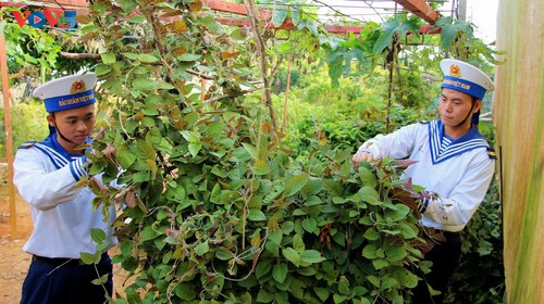 Thông tin biển đảo Việt Nam  - ảnh 2