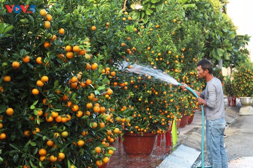 Thông tin biển đảo Việt Nam  - ảnh 4