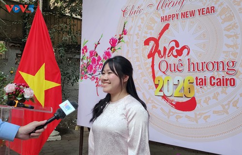 Ấm áp Tết Cộng đồng đón Xuân Bính Ngọ tại Ai Cập - ảnh 3