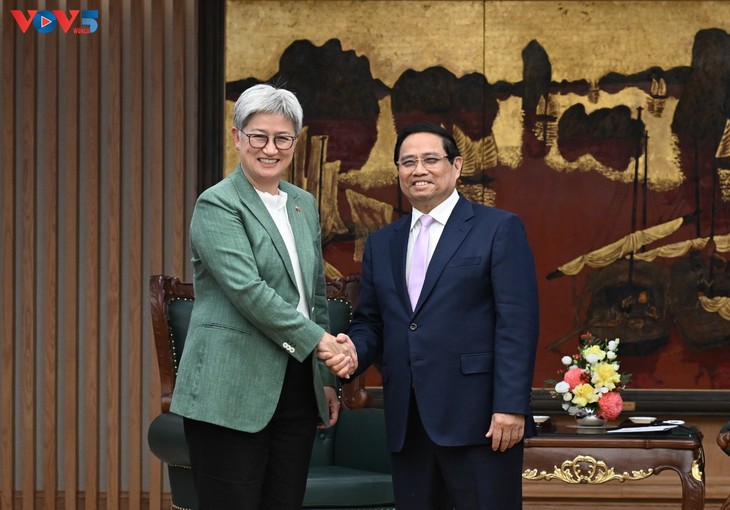 Vietnam y Australia estrechan lazos en defensa, comercio y tecnología - ảnh 2