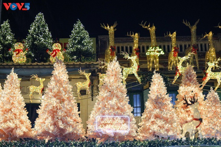 La calle Hang Ma se pone espléndida a medida que se acerca la Navidad - ảnh 2