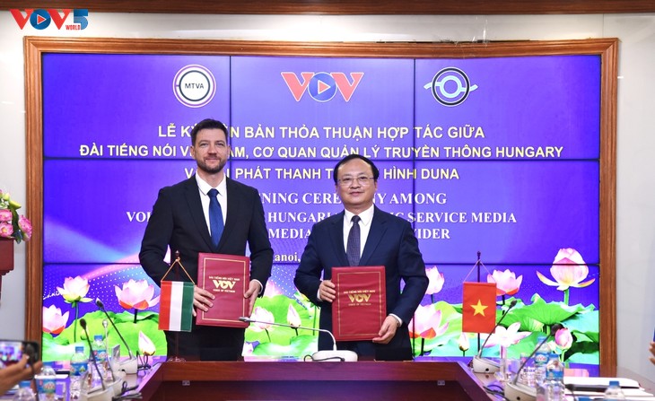 Vietnam y Hungría fortalecen cooperación en radiodifusión - ảnh 2