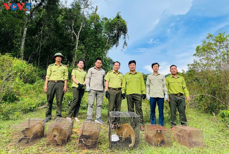 Parque Nacional de Vu Quang, uno de los recintos más biodiversos de Vietnam - ảnh 3