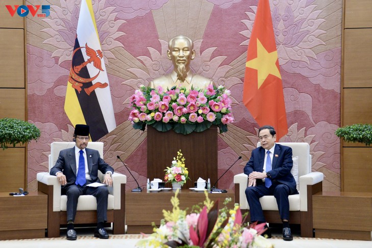 Sultán de Brunéi recibido por altos dirigentes vietnamitas - ảnh 3