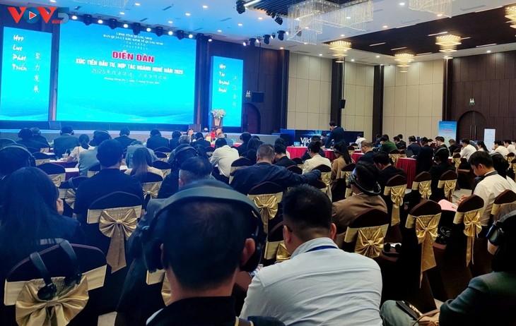 Localidades vietnamita y china celebran foro de cooperación industrial y atracción de inversiones - ảnh 2