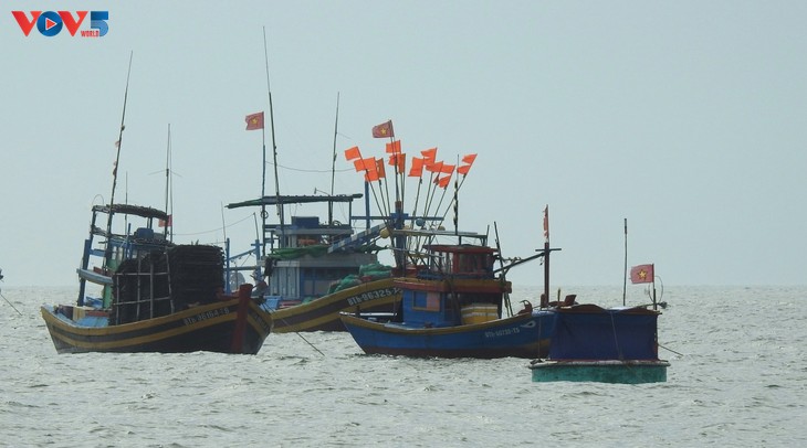 Lam Dong refuerza control sobre barcos pesqueros que no cumplen con los requisitos operativos - ảnh 1