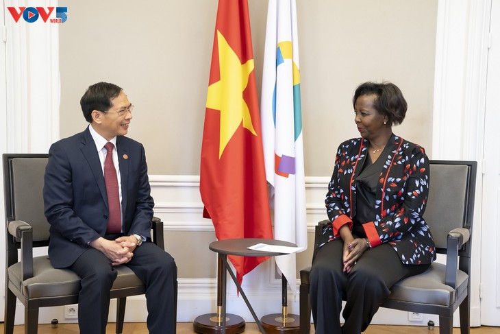 Visite du ministre Bùi Thanh Son à l’Organisation internationale de la Francophonie - ảnh 1