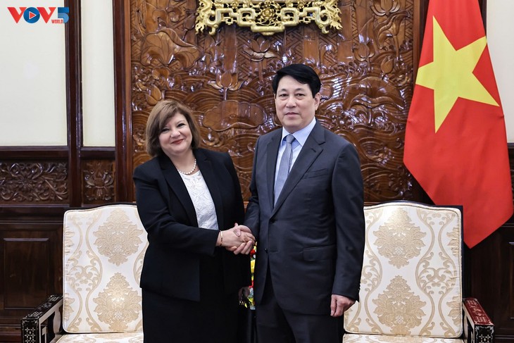 Le président Luong Cuong accueille l’ambassadrice sortante d’Égypte - ảnh 1