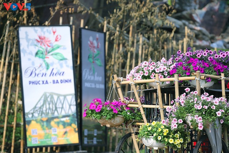 Le tapis de fleurs sous le pont Long Biên séduit les visiteurs - ảnh 1