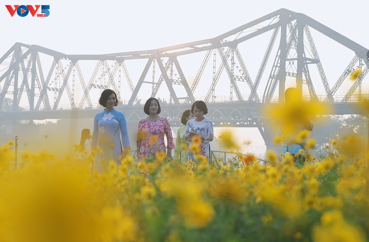 Le tapis de fleurs sous le pont Long Biên séduit les visiteurs - ảnh 8