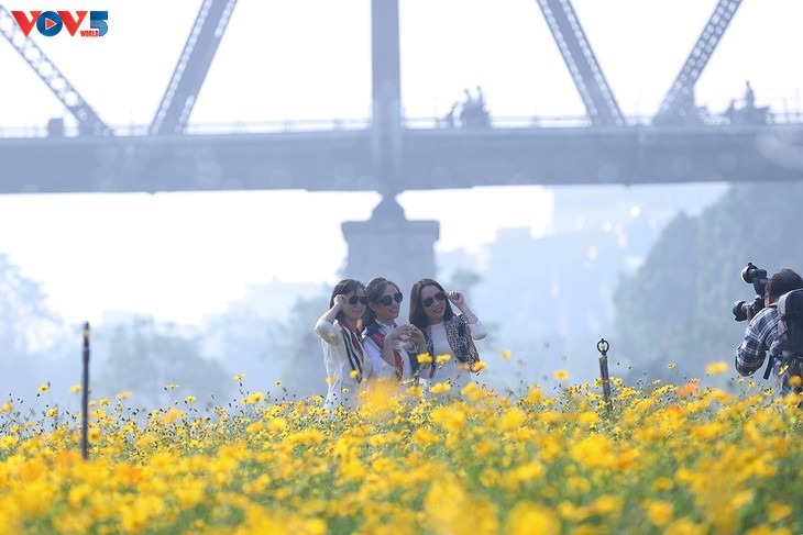 Le tapis de fleurs sous le pont Long Biên séduit les visiteurs - ảnh 11