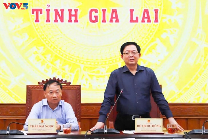Le vice-Premier ministre Hô Quôc Dung en mission à Gia Lai après le typhon Kalmaegi - ảnh 1