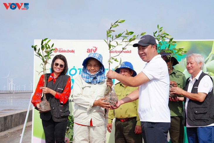 “Demi Vietnam yang Hijau”: Menanam pohon, Mngembangkan Hutan Bakau di Soc Trang - ảnh 1