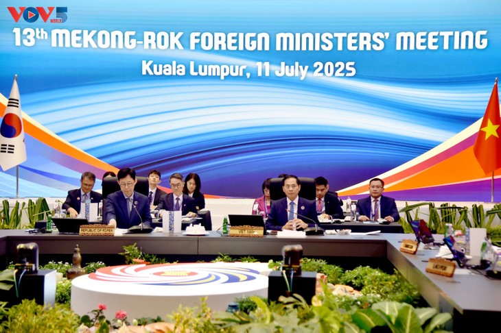 Vietnam Bersama Memimpin Konferensi Menlu Mekong-Republik Korea - ảnh 1