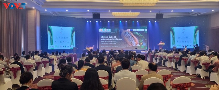 Vietnamesische Pfeffer markiert die Position auf dem internationalen Markt - ảnh 1