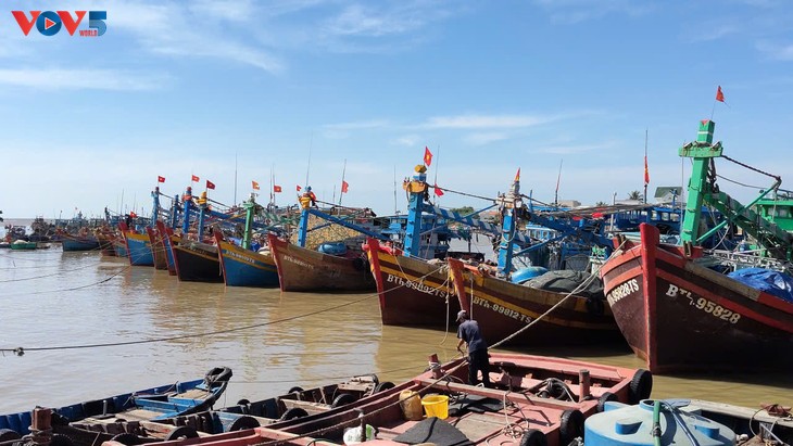 Lam Dong steigert die Effizienz der Bekämpfung der IUU-Fischerei - ảnh 1