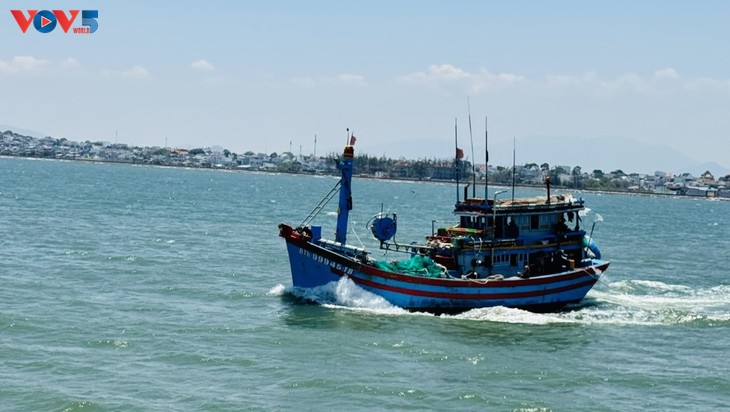 Lam Dong steigert die Effizienz der Bekämpfung der IUU-Fischerei - ảnh 2