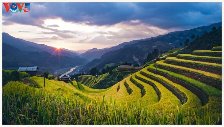 Keindahan Mu Cang Chai yang megah pada masa padi matang - ảnh 5