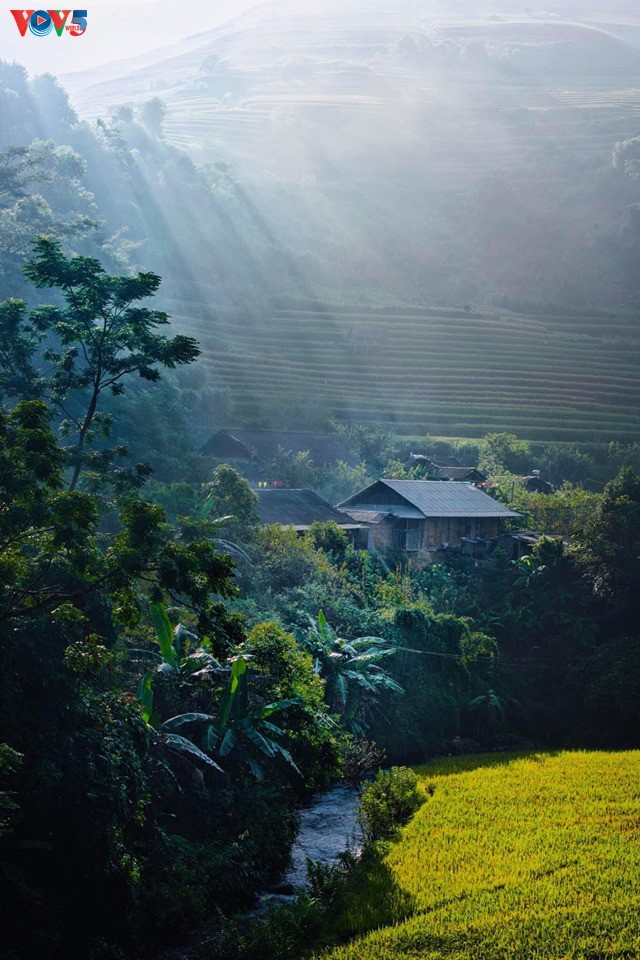 Keindahan Mu Cang Chai yang megah pada masa padi matang - ảnh 4