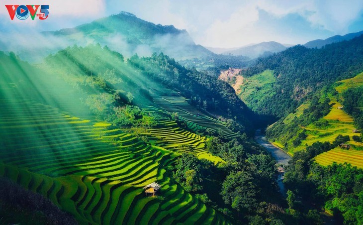 Keindahan Mu Cang Chai yang megah pada masa padi matang - ảnh 1