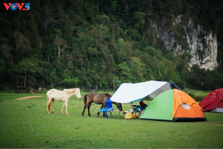 Dataran Tinggi Dong Lam – Tempat Wisata Yang Ideal - ảnh 11