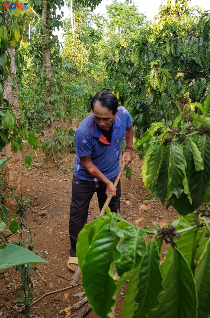 Bapak Bome – Sesepuh Dukuh yang Berpretise dalam Komunitas Etnis Minoritas Bana di Kecamatan Ha Bau - ảnh 2