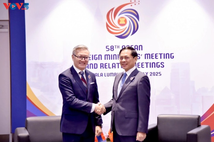 Vietnam Perkuat Kerja Sama Komprehensif di ASEAN - ảnh 2