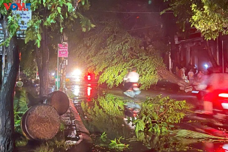Badai Kalmaegi Akibatkan Kerugian Serius di Provinsi Gia Lai dan Dak Lak - ảnh 1