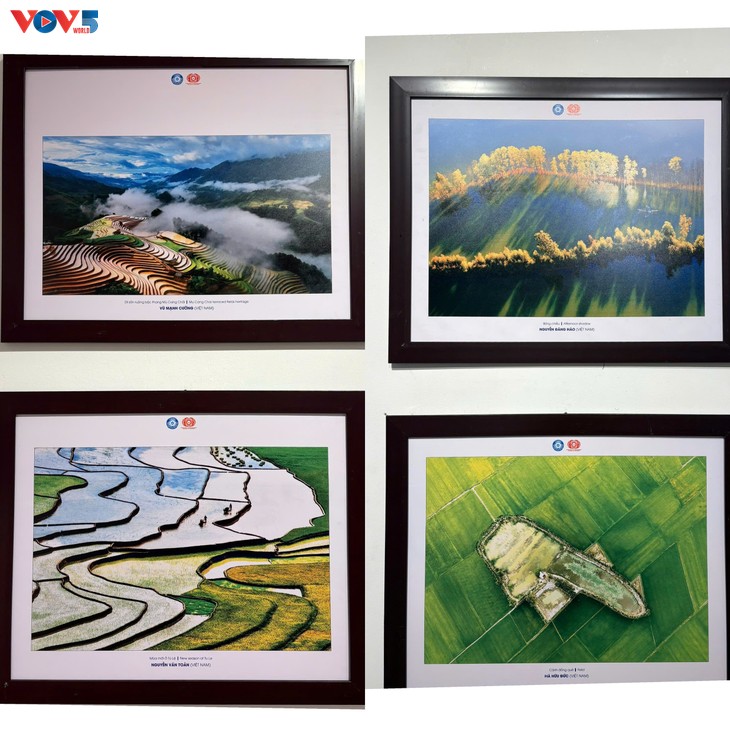 Pameran Foto : “Vietnam-Indonesia: Melalui Lensa Persahabatan“ - ảnh 7