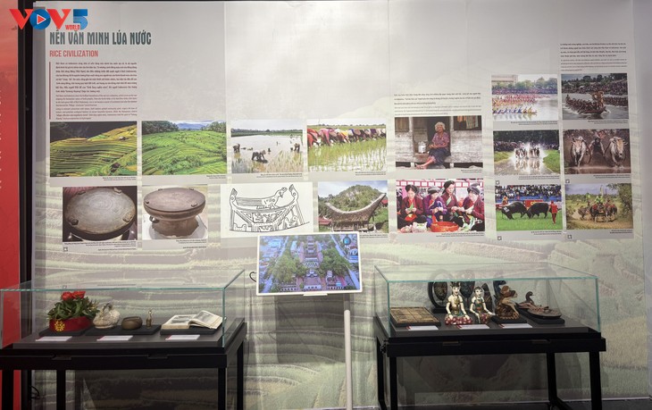 Vietnam-Indonesia: 70 Tahun Kerja Sama dan Perkembangan - ảnh 4