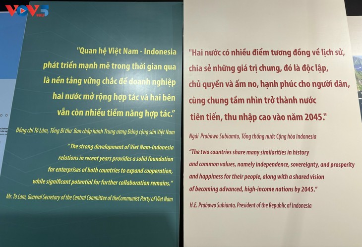 Vietnam-Indonesia: 70 Tahun Kerja Sama dan Perkembangan - ảnh 3