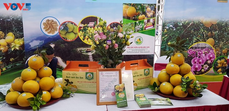 Kota Hanoi Pelopori Seluruh Negeri dalam Membangun Rantai Konektivitas Produk Hasil Pertanian - ảnh 2