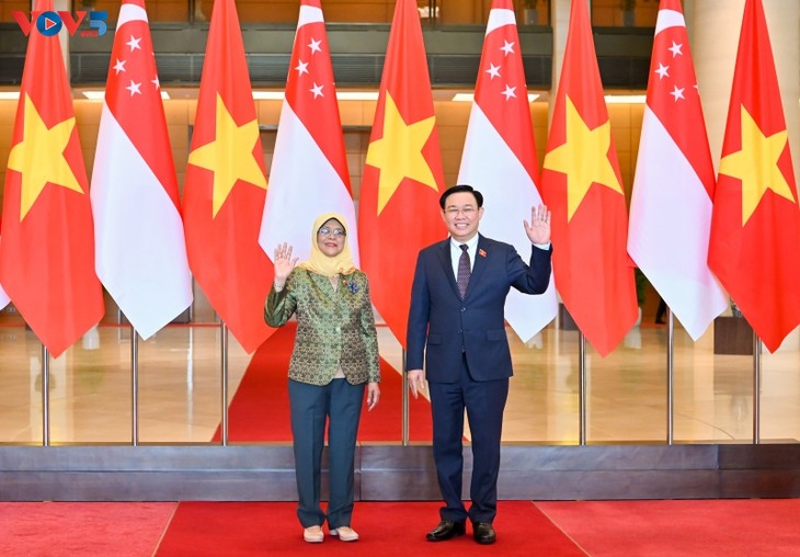 Vietnam dan Singapura Perkuat Kerja Sama di Forum-Forum Multilateral - ảnh 1