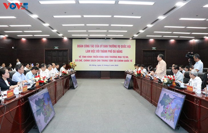 Arbeitsgruppe des ständigen Parlamentsausschusses tagt mit der Stadt Da Nang - ảnh 1