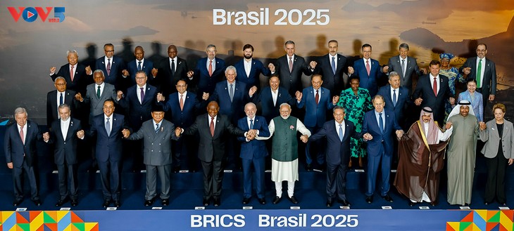 Premierminister Pham Minh Chinh macht beim BRICS-Gipfel Vorschläge zum Thema Umwelt und globale Gesundheit - ảnh 2