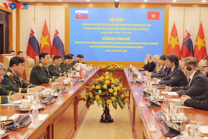 Die Zusammenarbeit zwischen Vietnam und der Slowakei im Verteidigungsbereich stärken - ảnh 1