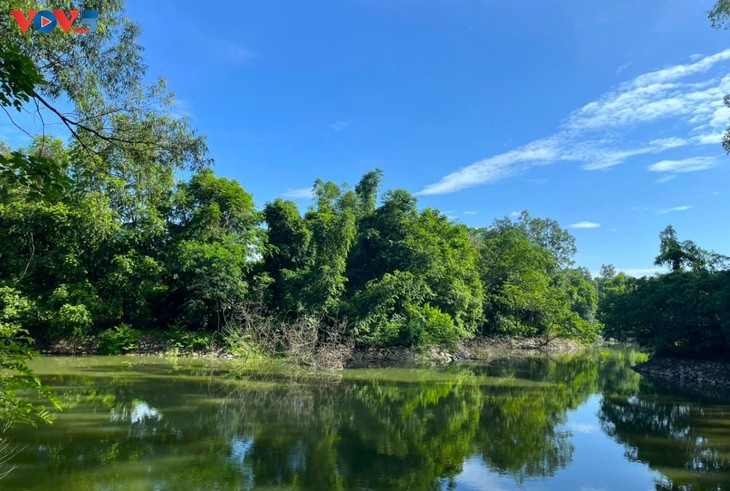 Botanischer Garten von Hanoi: Ein attraktives grünes Touristenziel - ảnh 1