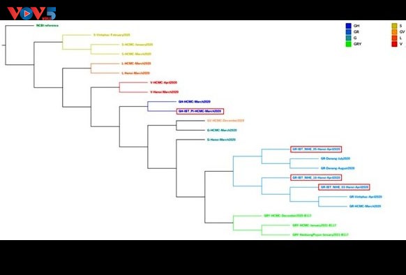 베트남 최초 코로나 바이러스 유전자 고도(long-read) 해석 기술과정을 성공적으로 구축 - ảnh 1