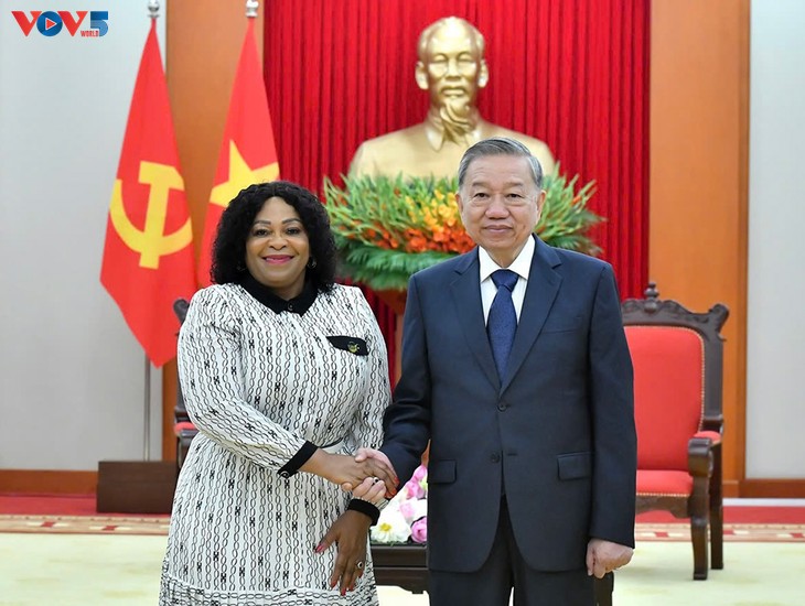 또 럼 당 서기장, 아프리카민족회의(ANC) 제1사무부총장 접견 - ảnh 1