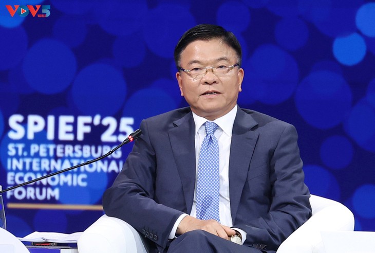 레 타인 롱 부총리, 제28차 상트 페테르부르크 국제경제포럼 개막식 참석 - ảnh 3