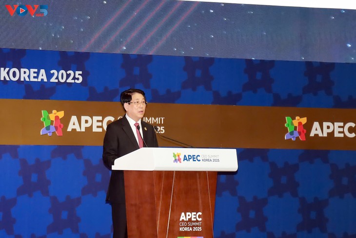 르엉 끄엉 국가주석, “베트남은 언제나 APEC 기업들 위해 문 활짝 열어 환영” - ảnh 1