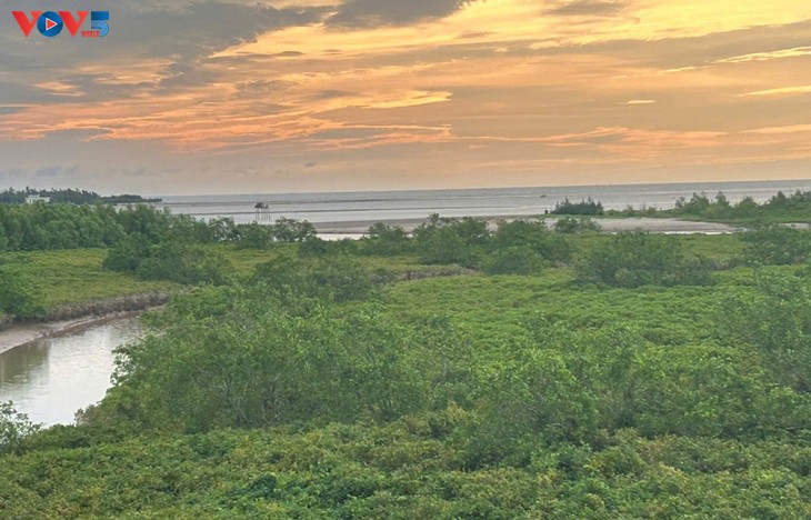 អេកូទេសចរណ៍សហគមន៍នៅឧទ្យានជាតិ Xuan Thuy - ảnh 1