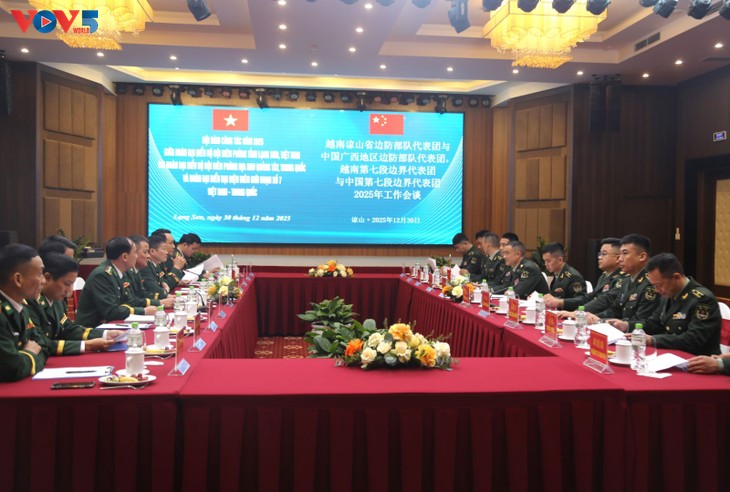 越中加强边境口岸管理，打击犯罪 - ảnh 1