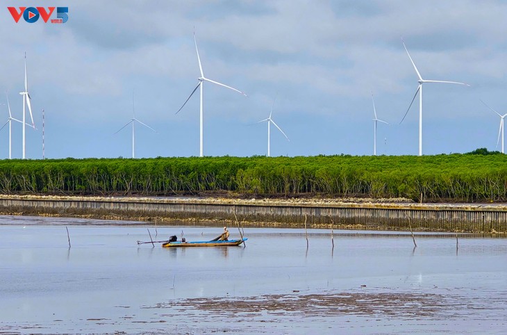 金瓯省将海洋经济视为新增长支柱 - ảnh 2