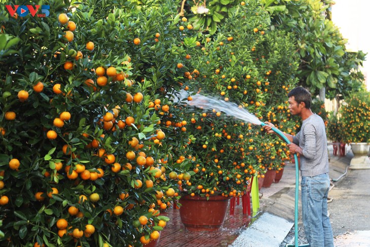 年货运抵李山岛 - ảnh 1