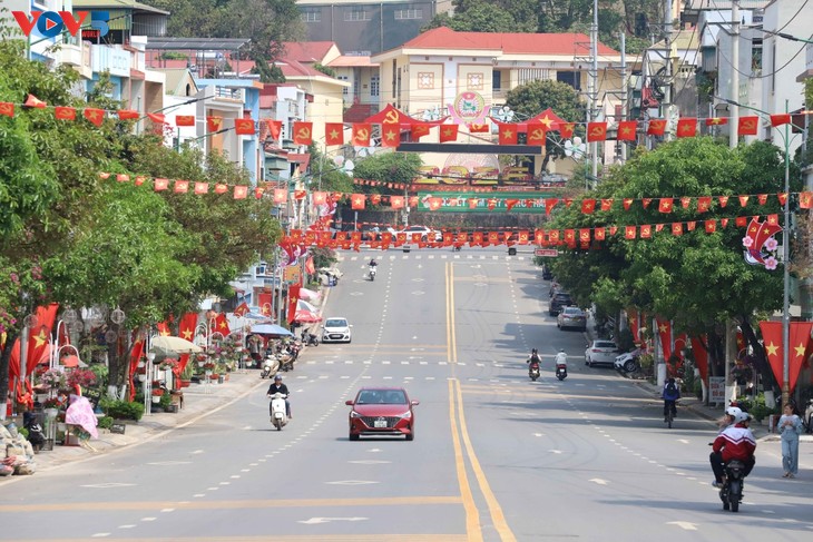 山区山罗省选举工作准备就绪 - ảnh 1