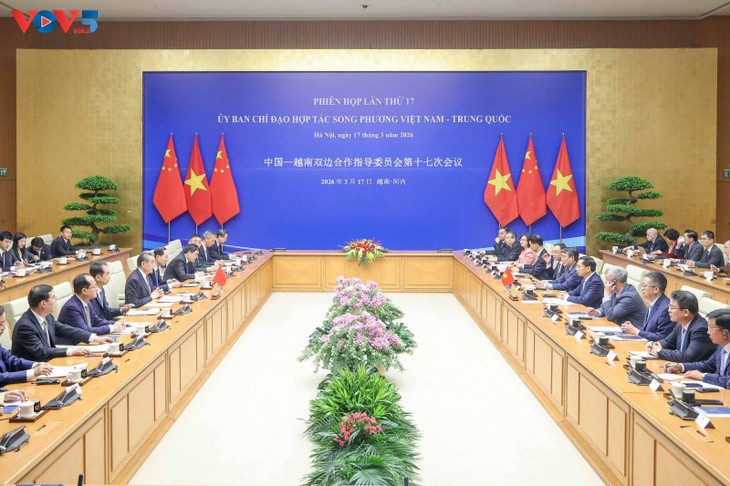 越中双边合作指导委员会第十七次会议在河内举行  - ảnh 2