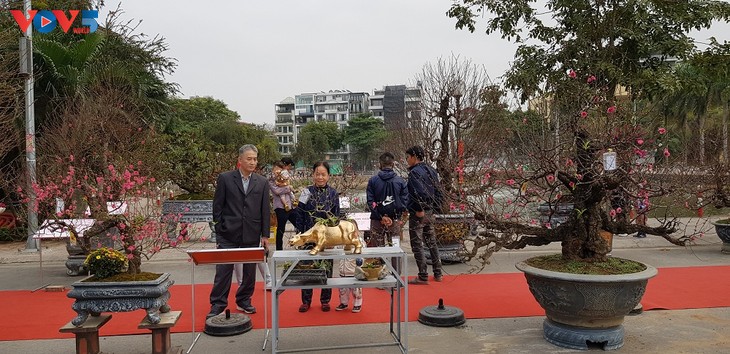 Flower villages in full swing ahead of Lunar New Year  - ảnh 1