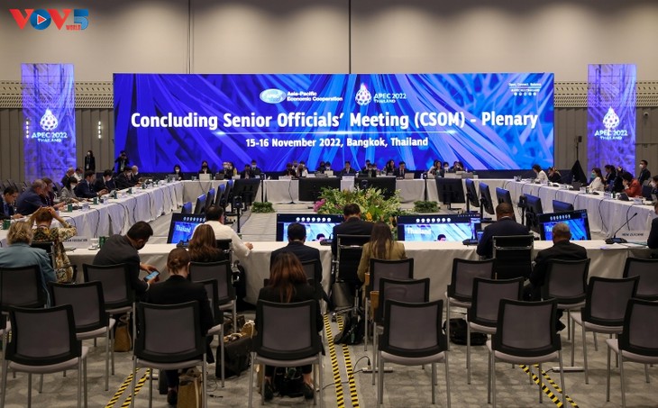 APEC SOM approves goals on Bio-Circular-Green Economy - ảnh 1